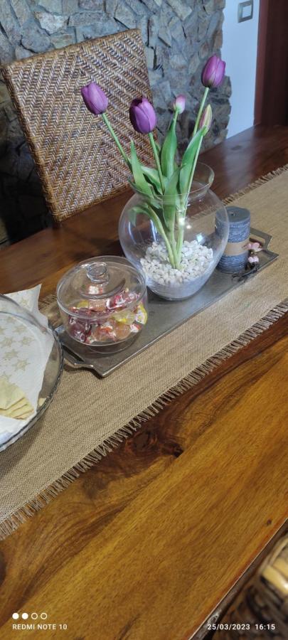 Càbras Room & Relax Eleinad מראה חיצוני תמונה